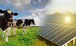 Painéis solares na fazenda leiteira: além da produção de energia