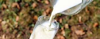Desafios no programa de melhoria da qualidade do leite
