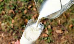 SE: programa de distribuição de leite fortalece cadeia produtiva e população vulnerável