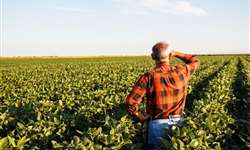 Fiesp: Índice de Confiança do Agronegócio sofre leve queda no 2º trimestre