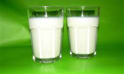 Portugal: empresa reafirma benefícios do leite em nova campanha