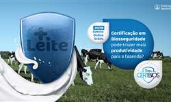 Biosseguridade: ponto chave para eficiência em produção de leite