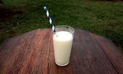 Composição do leite: reveja os principais conceitos!