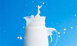 Evolução da produção global de leite na última década