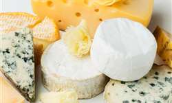 Importância da etapa de prensagem em queijos