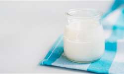 Fermentação do iogurte: protocooperação das bactérias láticas
