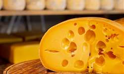 Olhaduras em queijos: os famosos 'furinhos'
