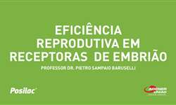 Palestra gratuita: eficiência reprodutiva em receptoras de embrião