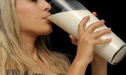 Beber leite tornou os humanos mais altos, diz estudo