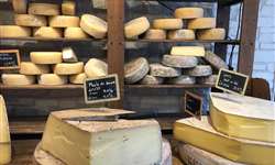 Europa: consumo e produção de queijo é destaque