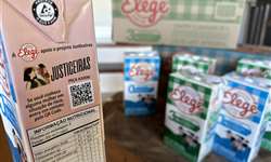 Caixinhas de leite na luta contra a violência à mulher