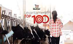 Top 100 2023: conheça os maiores produtores de leite do Brasil
