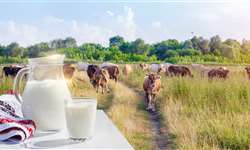 Cepea divulga valores do leite captado em fevereiro