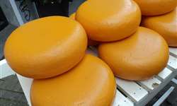 Principais defeitos em queijos relatados por queijarias brasileiras