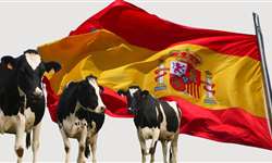 Espanha: 66 fazendas leiteiras fecharam por mês em 2022