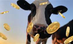 Custo de produção dos maiores produtores de leite do país