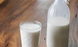 Produção de leite cresce em SC e diminui na maioria dos estados