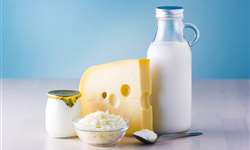O que o USDA projeta para o setor lácteo da Nova Zelândia?
