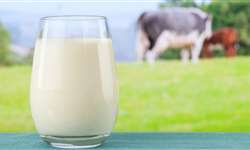 CE: programa amplia a produção de leite