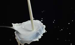 SC: importações de leite preocupa produtores