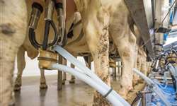 Como andam os custos de produção de leite?