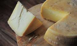 PR: queijos produzidos no município de Lapa recebem Selo Arte