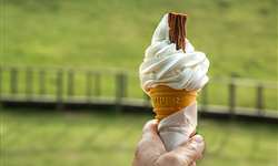 EUA: primeiro sorvete orgânico regenerativo chega ao consumidor