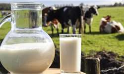 Governo irá propor medidas de apoio à cadeia leiteira