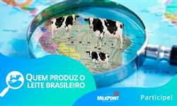Quem produz o leite brasileiro: levantamento 2023