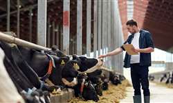 Nova plataforma Rehsult potencializa o trabalho do consultor técnico na pecuária leiteira