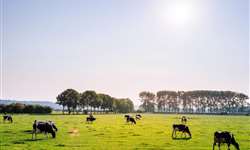 Cresce o interesse dos produtores britânicos pela agricultura regenerativa