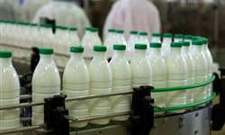 Como transformar os desafios em oportunidades no setor lácteo?