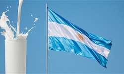 Argentina retira impostos a exportação: quais possíveis impactos para o leite brasileiro?