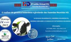 2º Leilão Virtual FIV Fazendas Reunidas HD. Confira comentários técnicos sobre os animais!
