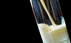 IBGE: 3º trimestre em desaceleração na captação de leite