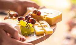 PR: Projeto leva pequenos produtores à produção de queijos finos