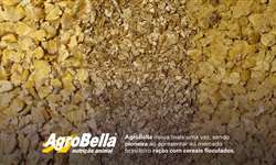 AgroBella Revoluciona a nutrição bovina com ração com cereais floculados