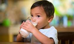 OMS e instituições reconhecem leite de vaca para bebês acima de 6 meses