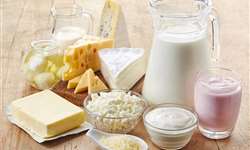 Lácteos fermentados podem impactar a saúde?