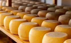 Maturação do queijo em embalagem ativa,  por que usar?