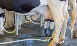 O avanço do leite do Sul: um sinal confirmado de mudança estrutural