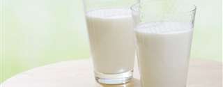 Cepea: leite ao produtor segue recuperação de preço em março