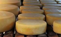 MG: produtores de queijo artesanal questionam legislação federal