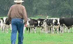 Interleite Brasil: Competitividade é fator decisivo para o setor lácteo
