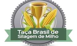 Taça Brasil de Silagem de Milho: divulgadas as 20 melhores amostras