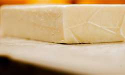 Ausência da denominação de origem impacta expansão do queijo
