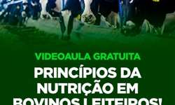 Quer assistir ao primeiro módulo do curso "Princípios da nutrição em bovinos leiteiros"?