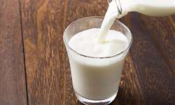 Sete oportunidades em leite fluido pouco exploradas pelas indústrias brasileiras