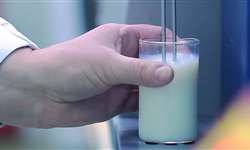 Calorimetria diferencial de varredura em lácteos