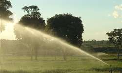 Irrigação de pastagem dá retorno econômico?